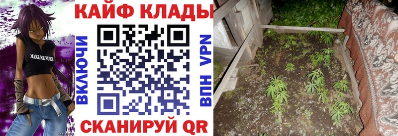 Сколько стоит Ленинск-Кузнецкий СОЛЬ  МДМА  Галлюциногенные грибы  Cocaine  Каннабис 