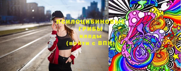 стафф Алзамай