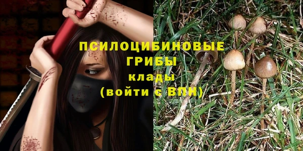 стафф Алзамай