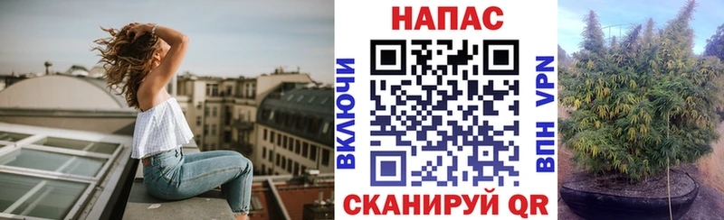 Конопля сатива блэк спрут ТОР Ленинск-Кузнецкий